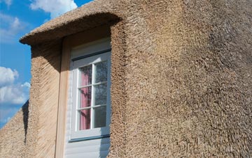 Shore thatch roof disadvantages